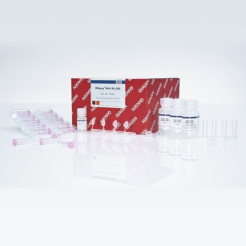 Qiagen 74106 RNeasy Mini Kit (250) - 擎科科邦邦商城